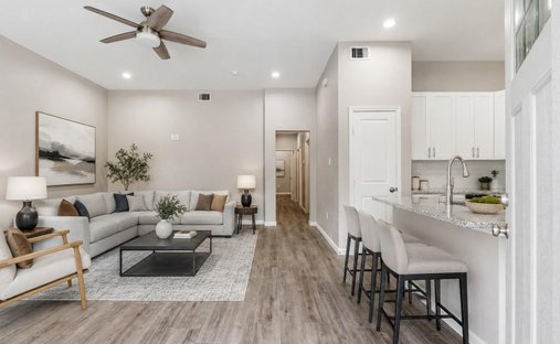 Apartment in Houston, Texas, United States 1