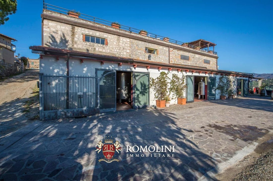 Farm Ranch in Gaiole in Chianti, Tuscany, Italy 2 - 15663329