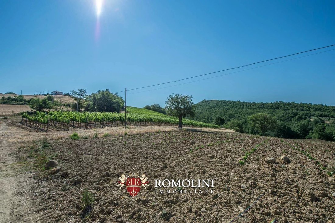 Farm Ranch in Center, Grosseto, Tuscany 1 - 15663524