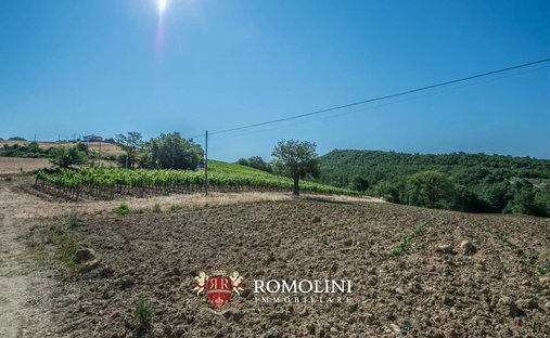 Farm Ranch in Center, Grosseto, Tuscany 1