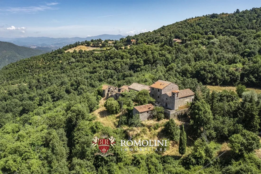 Castle in Center, Arezzo, Tuscany 1 - 16069590