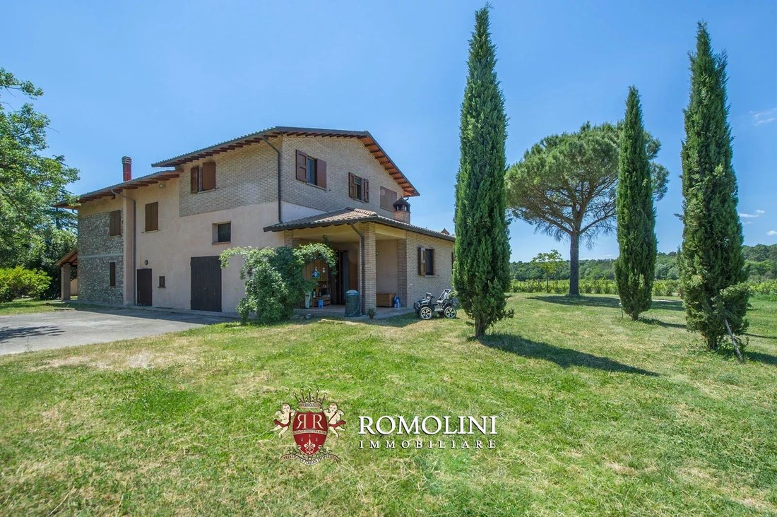 Farm Ranch in Castiglione del Lago, Umbria, Italy 1 - 15663278