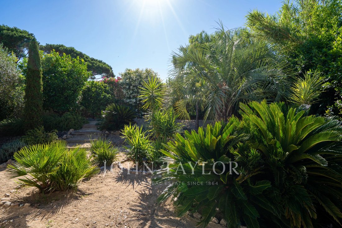 Estate in Zone Ouest Urbaine, Saint-Tropez, France 5 - 18280412