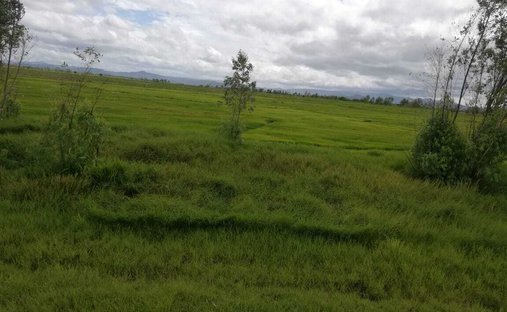 Land in San Jerónimo, Masaya, Nicaragua 1