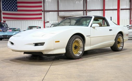 "Time-Capsule Firebird" in Grand rapids, United States 1