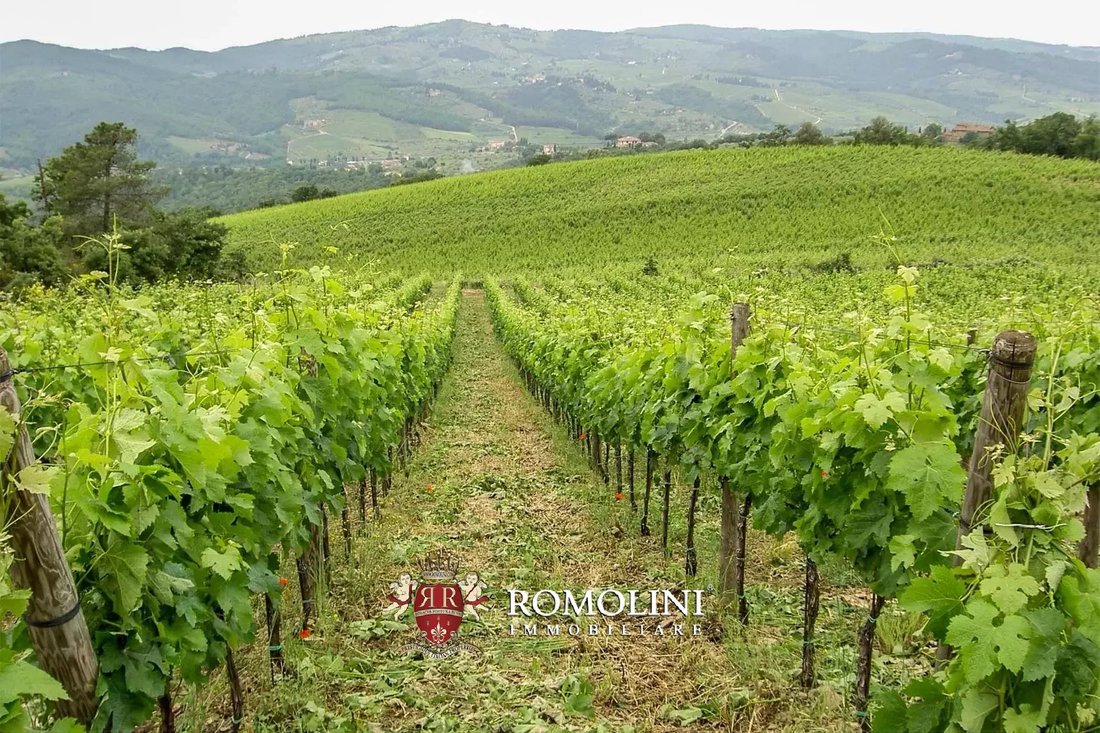 Estate in Center, Greve in Chianti, Tuscany 2 - 17381763