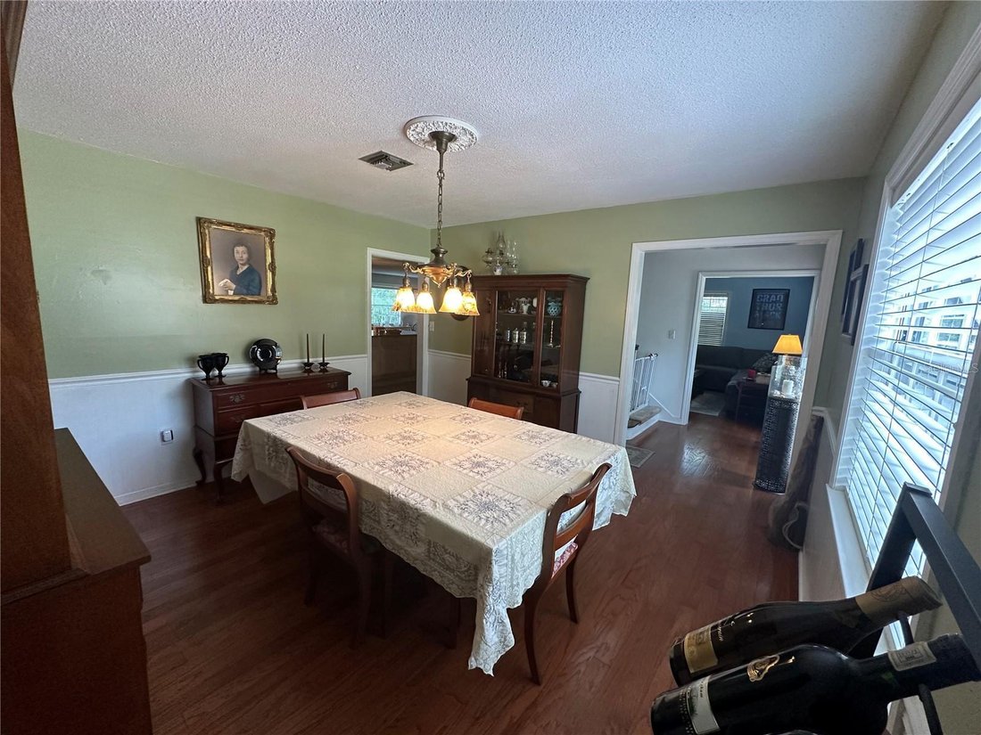 House in Leesburg, Florida, United States 3 - 18292129