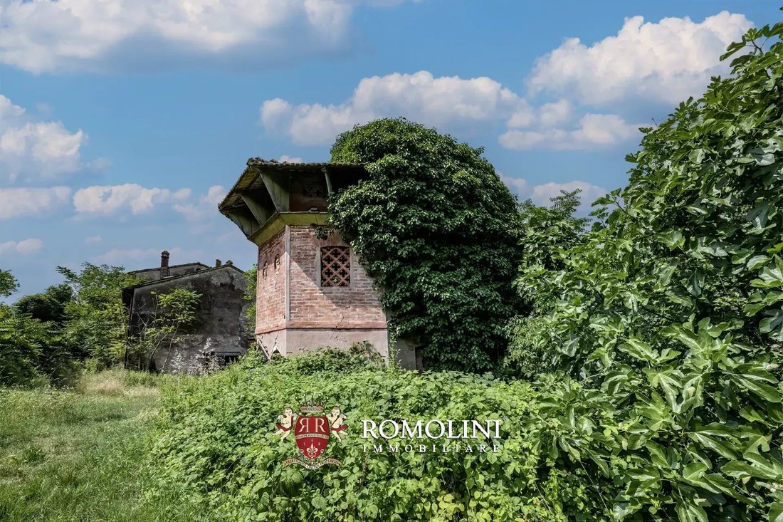 Farm Ranch in Bertinoro, Emilia-Romagna, Italy 4 - 15976637