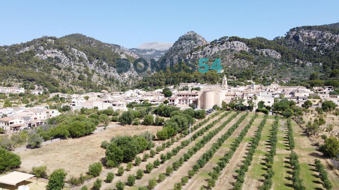 Terreno en Caimari, Selva, Islas Baleares 3 - 18282239