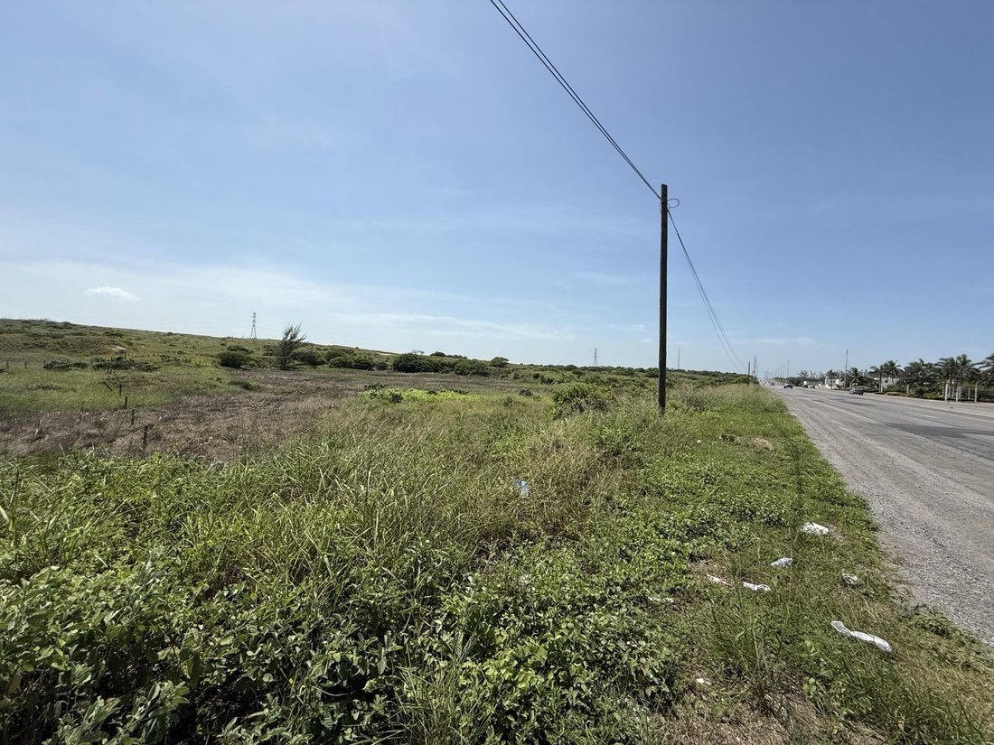 Land in Altamira, Tamaulipas, Mexico 3 - 18295660