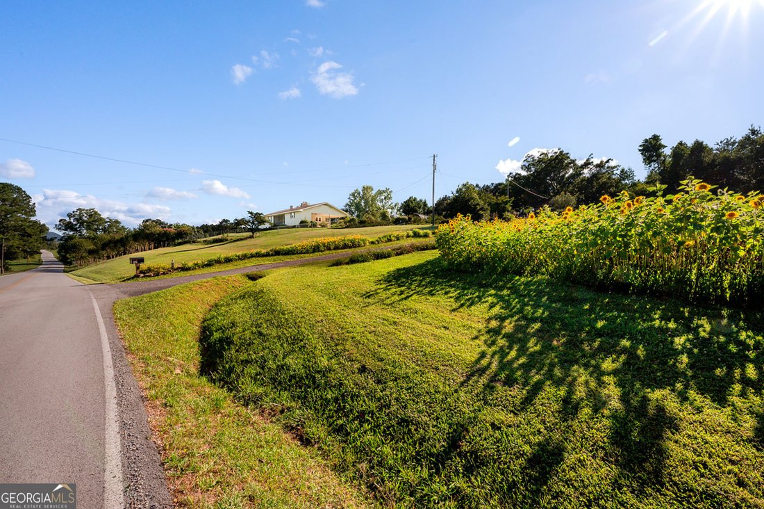 Farm Ranch in Trion, Georgia, United States 1 - 18288502