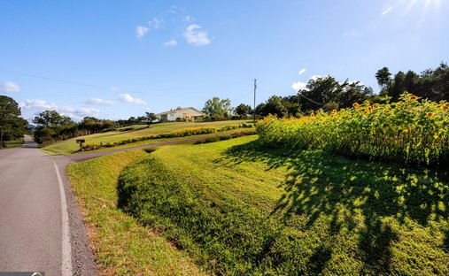 Farm Ranch in Trion, Georgia, United States 1