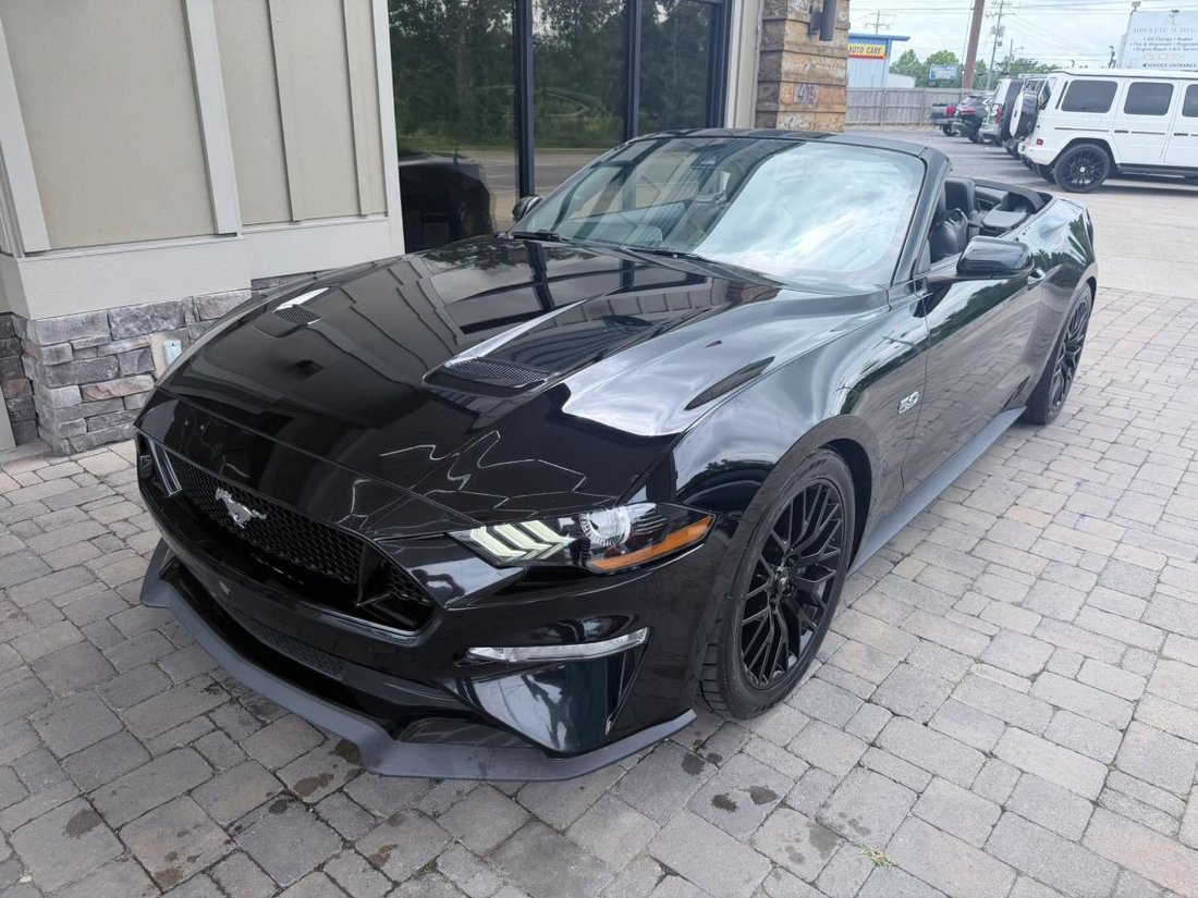 Cabriolet in Murfreesboro, TN, United States 2 - 18292731