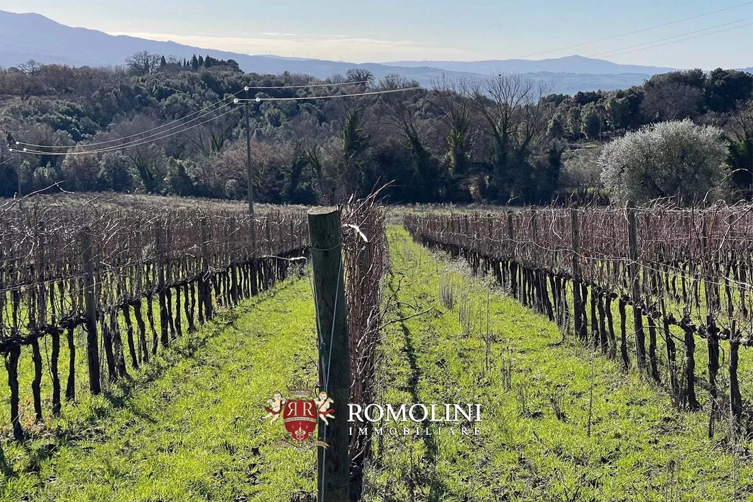 Farm Ranch in Montalcino, Tuscany, Italy 2 - 15663409