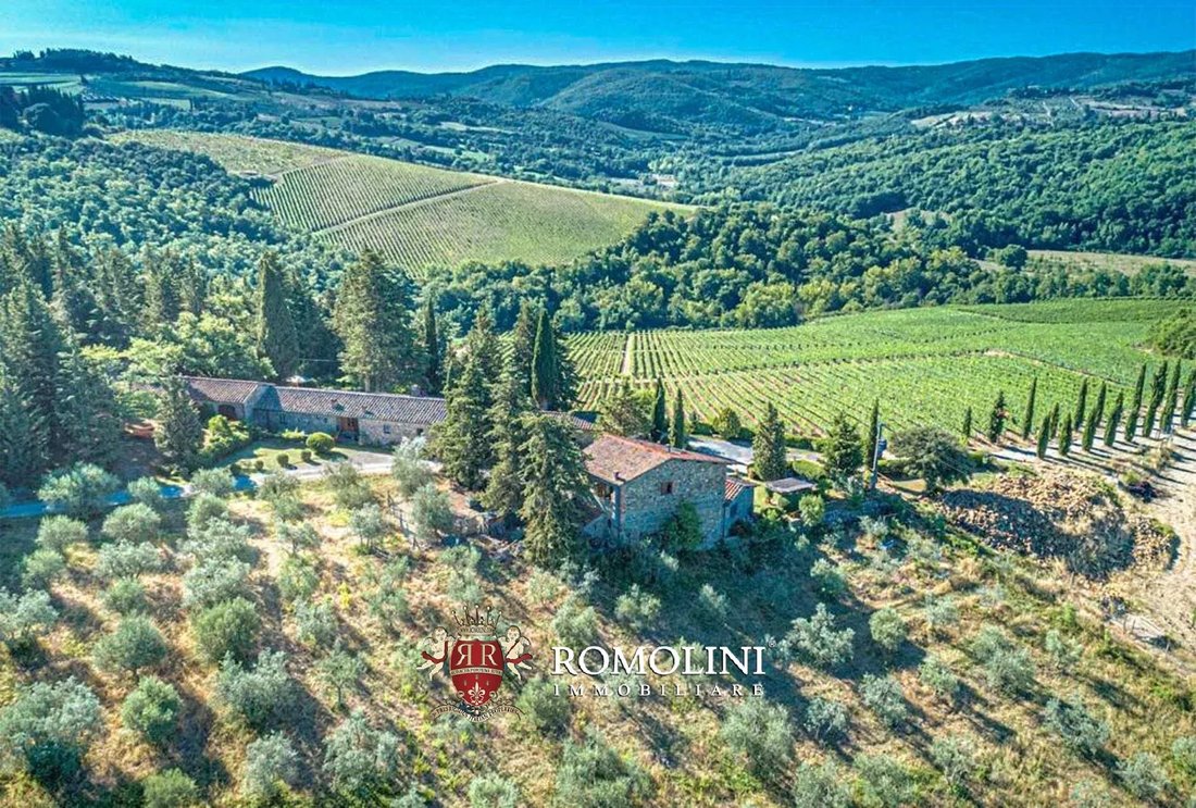 Farm Ranch in Montefioralle, Greve in Chianti, Tuscany 2 - 15663271