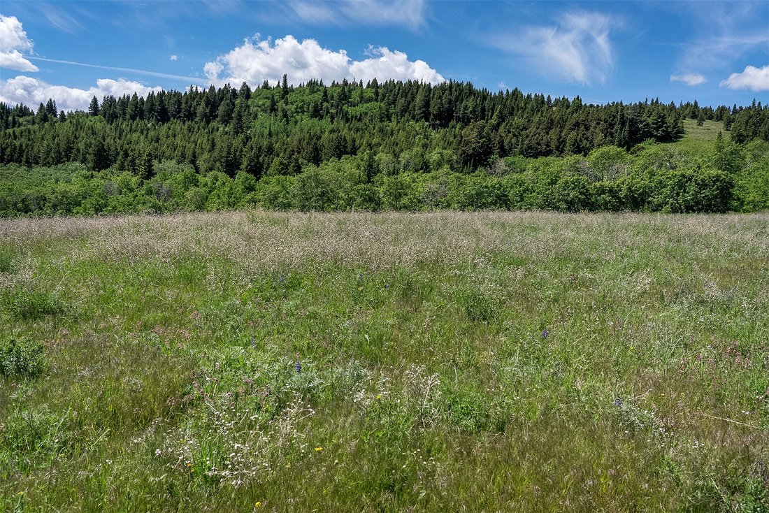 Land in East Glacier Park, Montana, United States 5 - 18289200