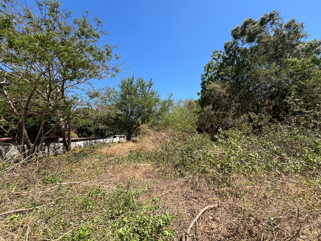 Land in Managua, Managua, Nicaragua 5 - 18286207