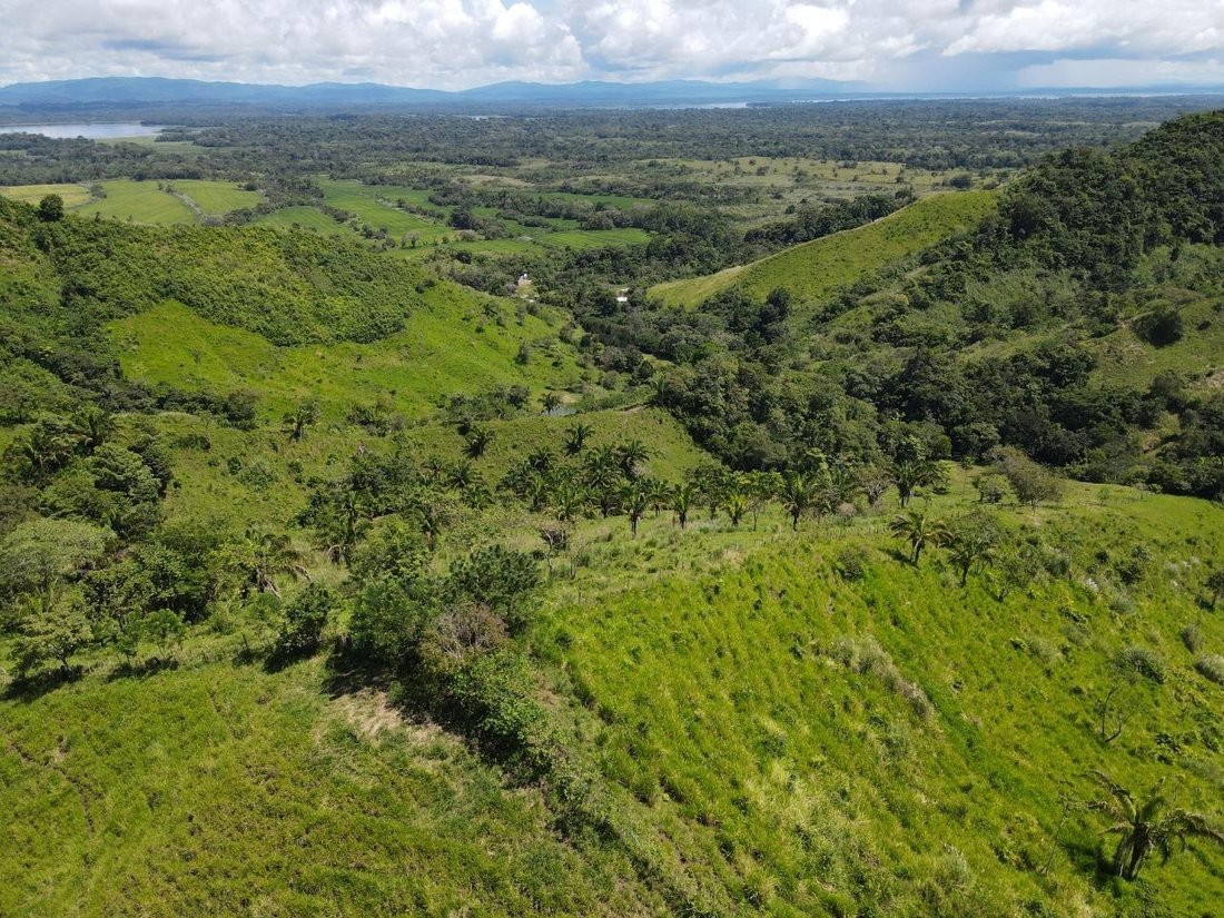 Finca in Uní, Panama, Panama 5 - 18288584