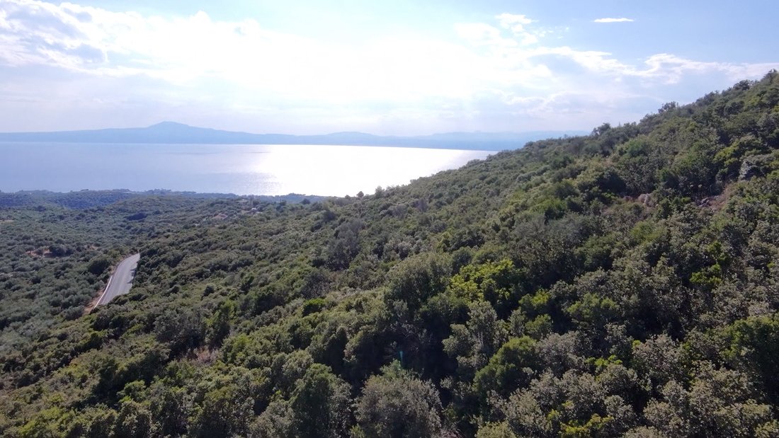 Land in Avia, Peloponnese, Western Greece and the Ionian, Greece 5 - 18294651