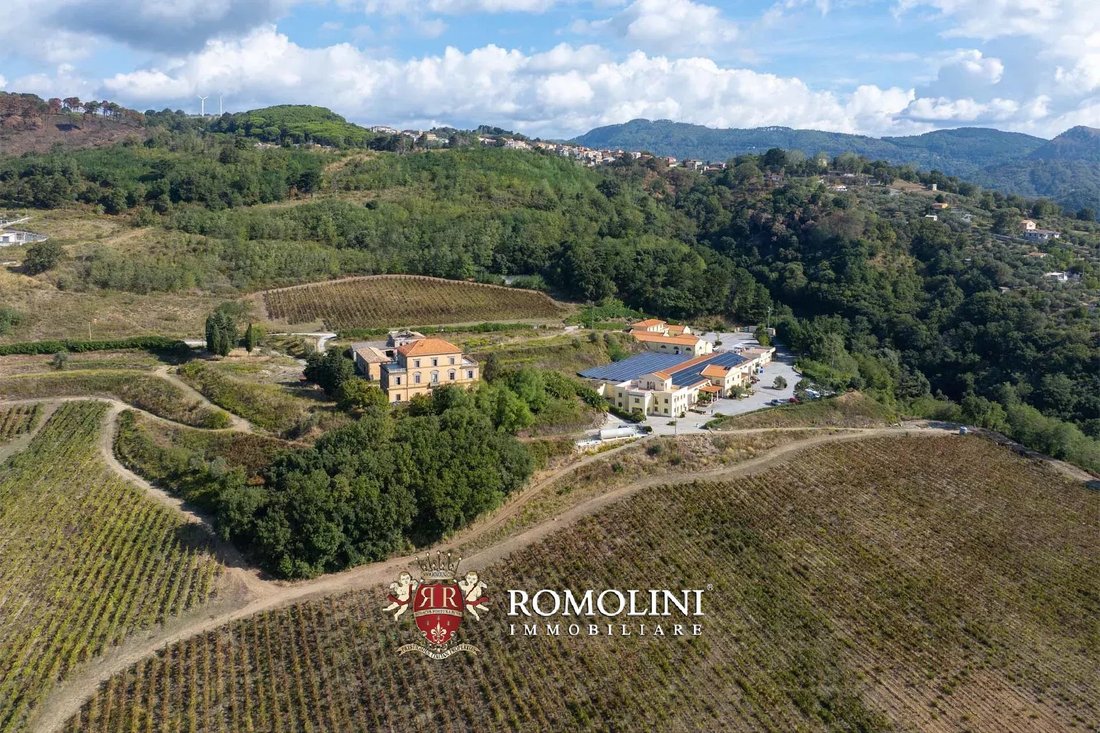 Estate in Nicastro, Lamezia Terme, Calabria 2 - 16742024
