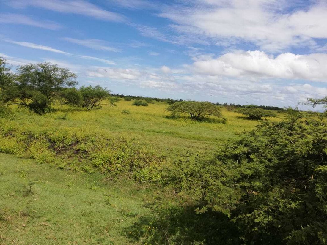 Land in San Jerónimo, Masaya, Nicaragua 2 - 18286170