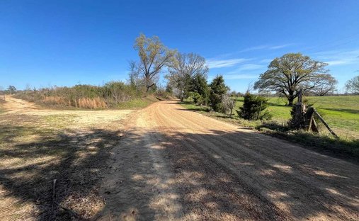 Land in Carrollton, Mississippi, United States 1