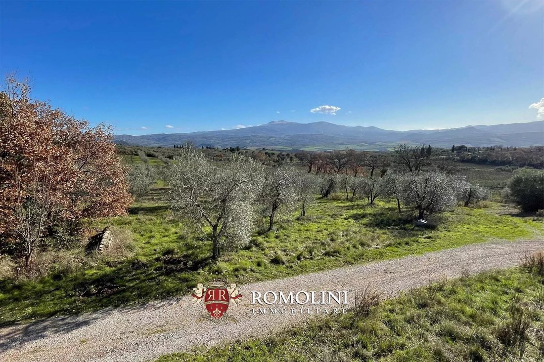 Farm Ranch in Montalcino, Tuscany, Italy 4 - 15663409