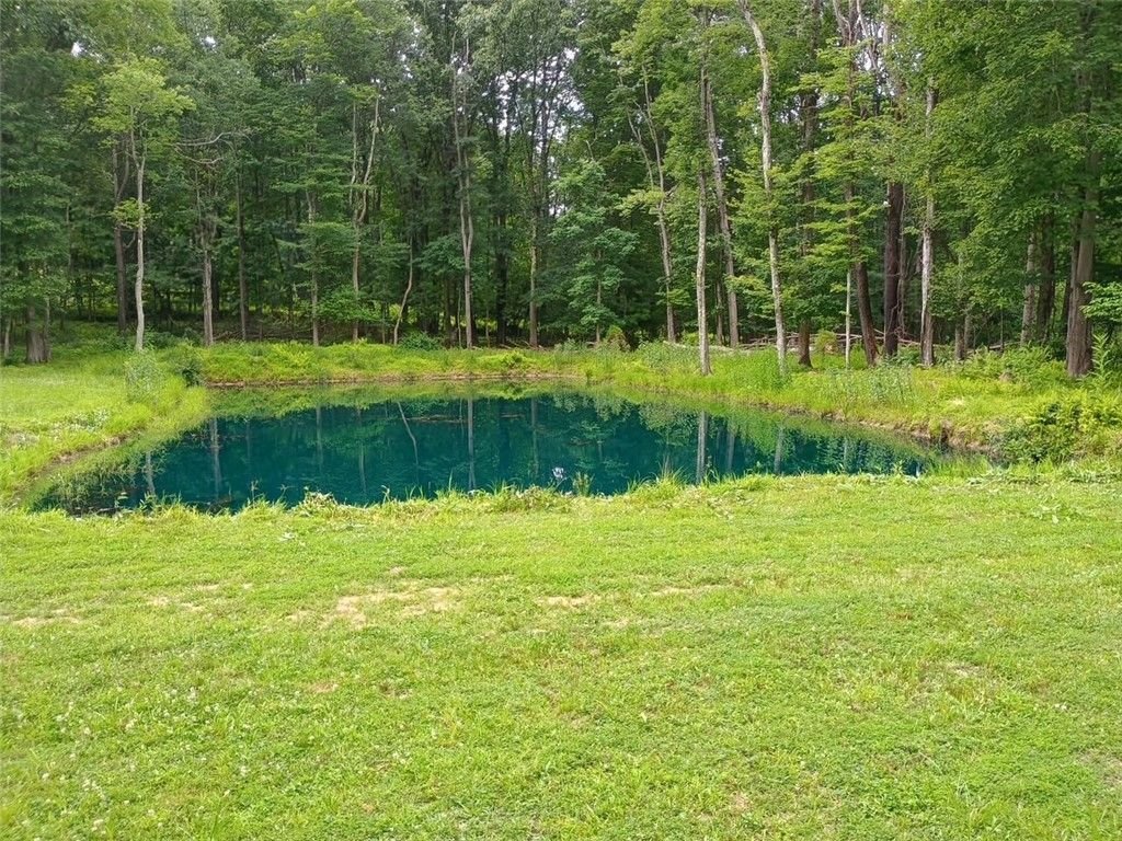 Farm Ranch in Ambridge, Pennsylvania, United States 3 - 18206935