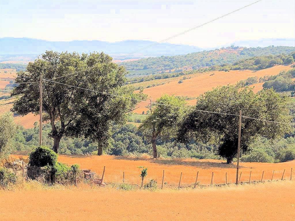 Landhaus in Magliano in Toscana, Toskana, Italien 4 - 18296146