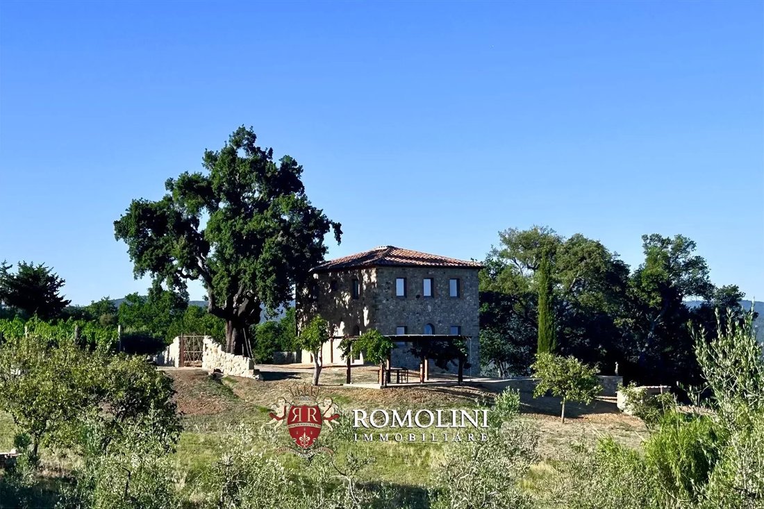Villa in Roccastrada, Tuscany, Italy 5 - 16287758