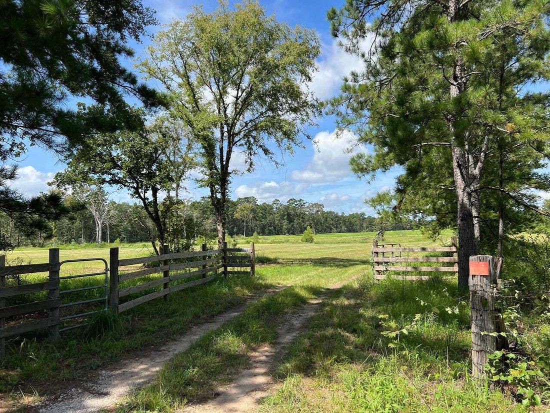 House in Plantersville, Texas, United States 2 - 18280417