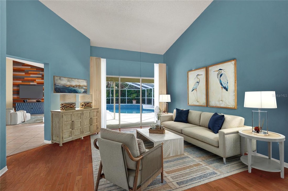 House in Palm Harbor, Florida, United States 5 - 18226865