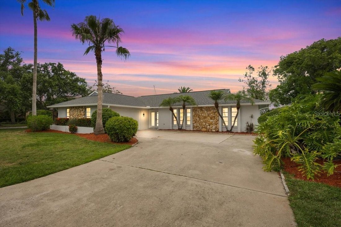 House in New Port Richey, Florida, United States 1 - 18281341