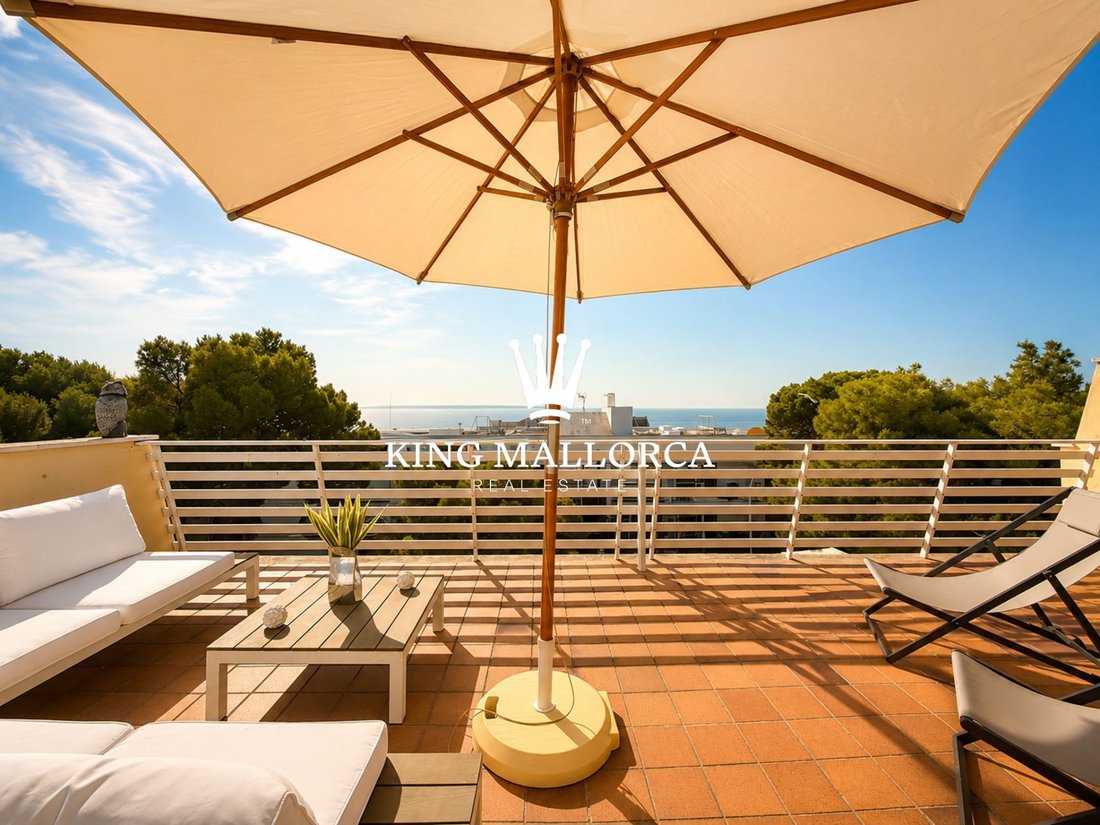 Calvia, Balearic Islands, Spain 3 - 17275427