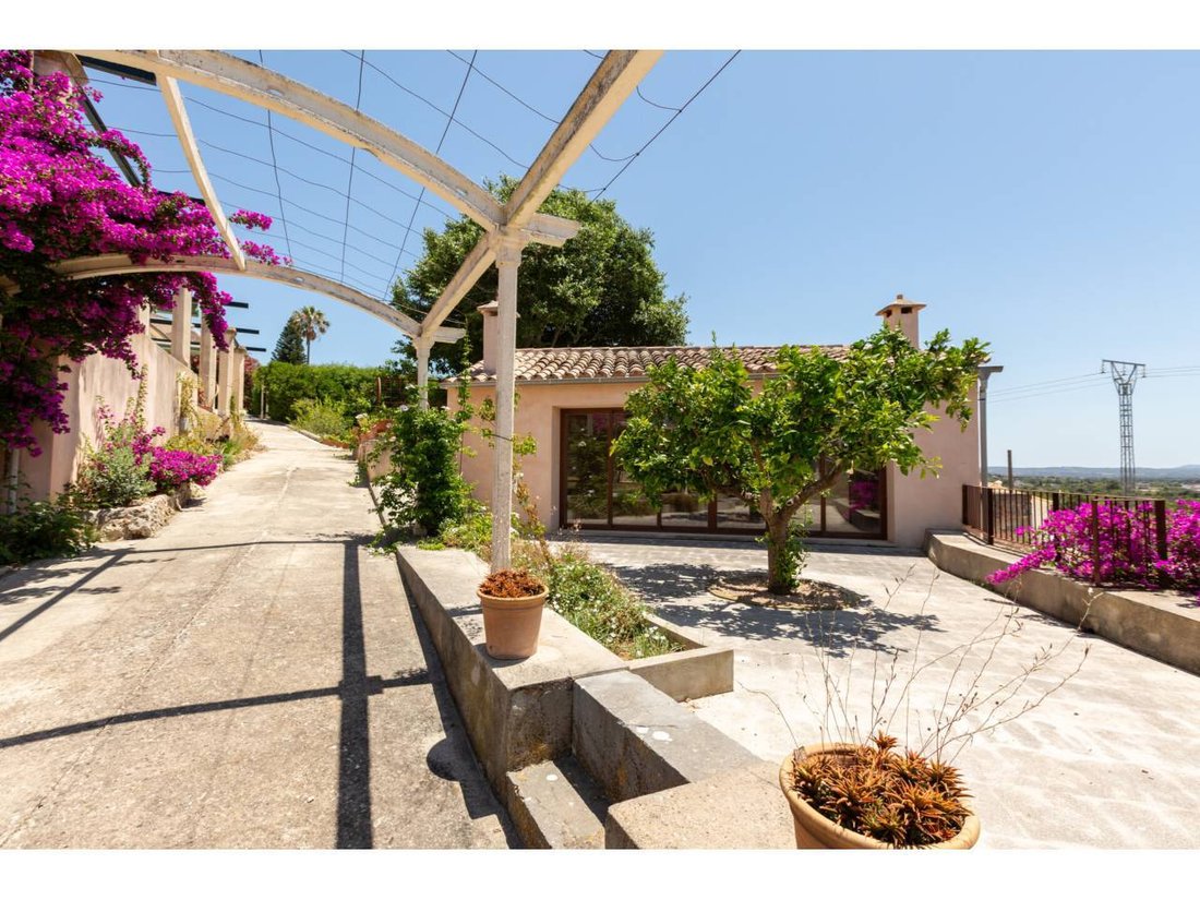 House in Campanet, Balearic Islands, Spain 5 - 17816134
