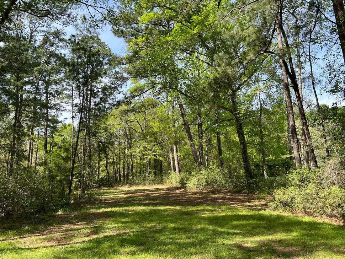 Land in Plantersville, Texas, United States 5 - 18280397