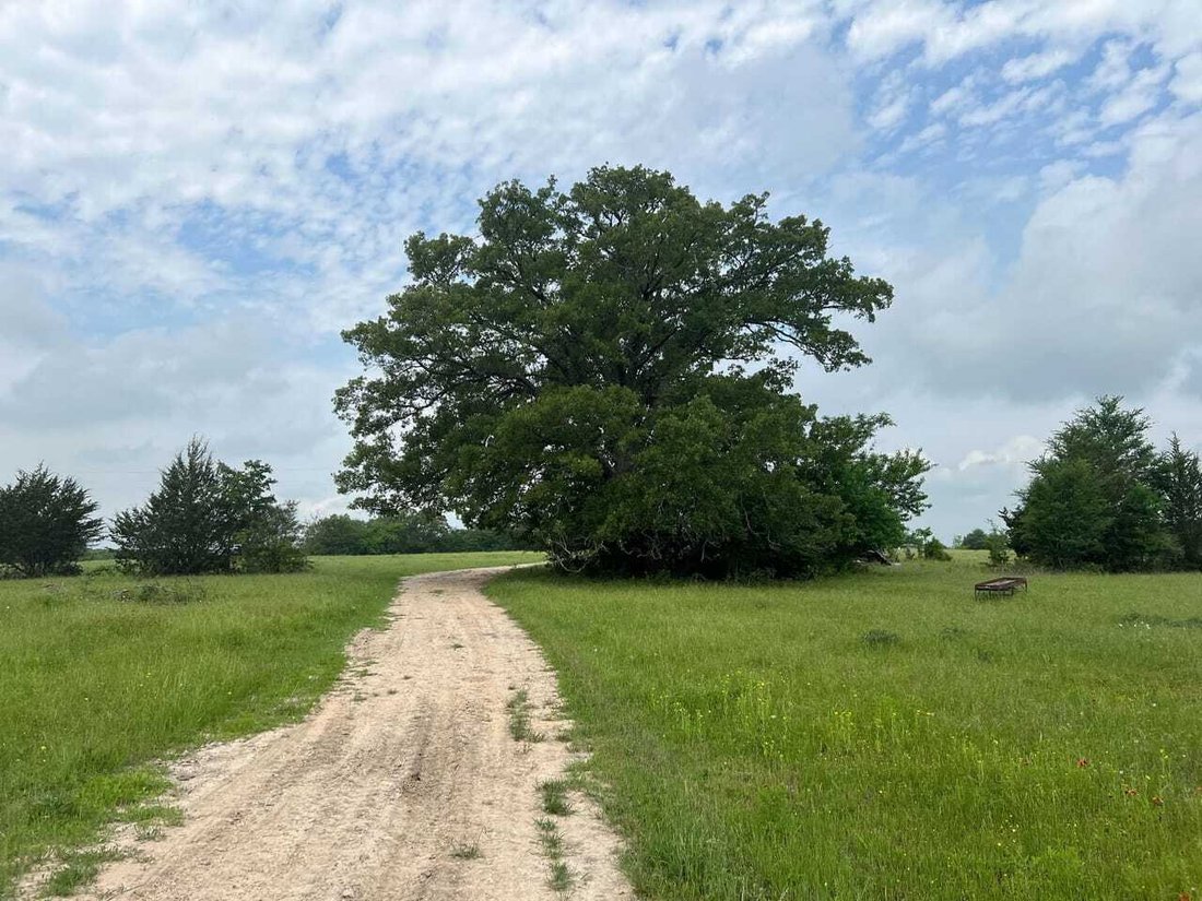Land in Anderson, Texas, United States 2 - 18280422