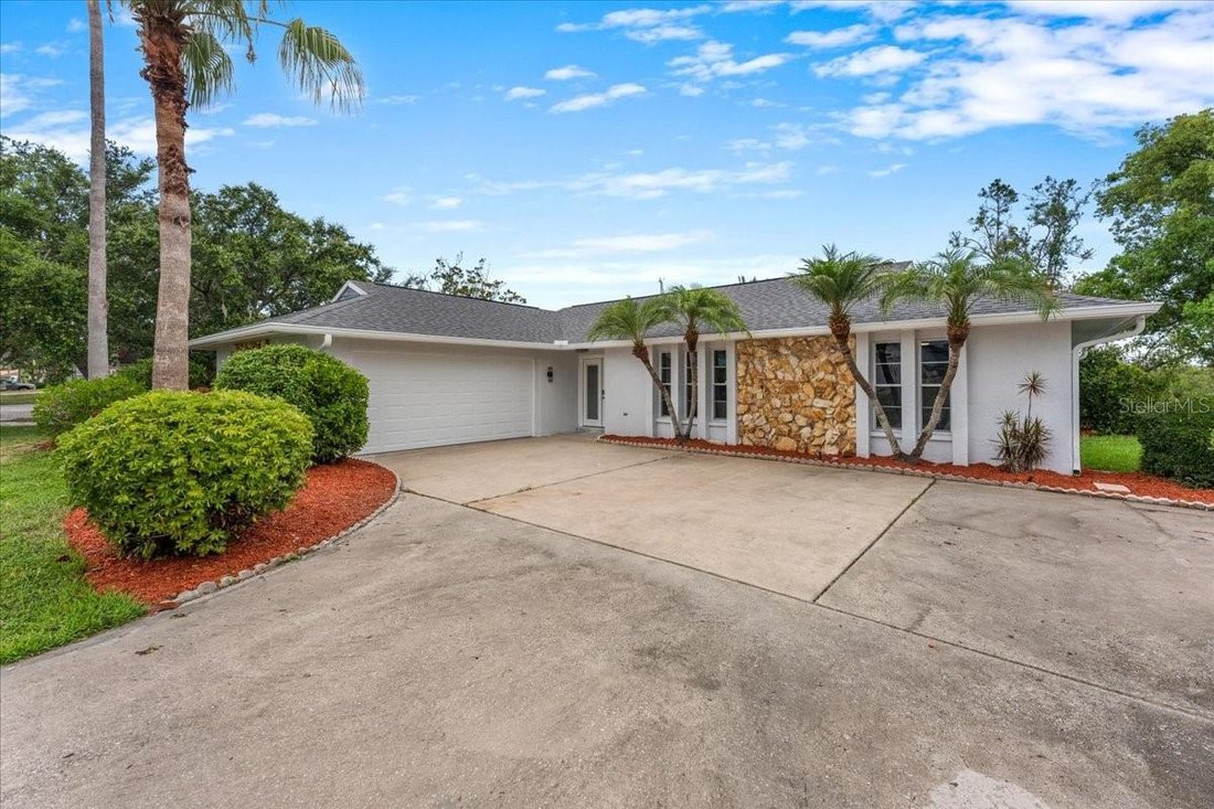 House in New Port Richey, Florida, United States 4 - 18281341