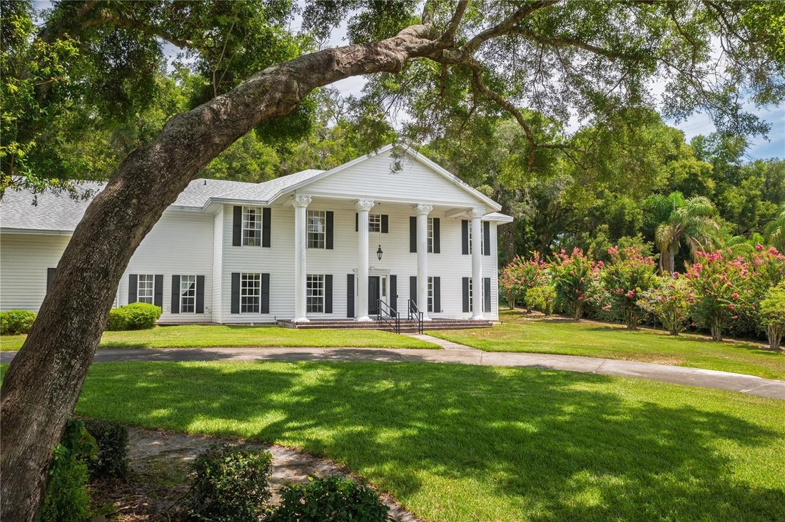 House in Mount Dora, Florida, United States 3 - 18280962