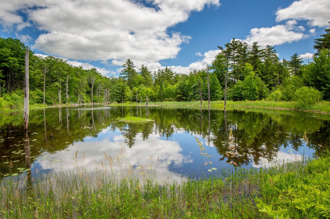 House in Washington, Maine, United States 2 - 18283635