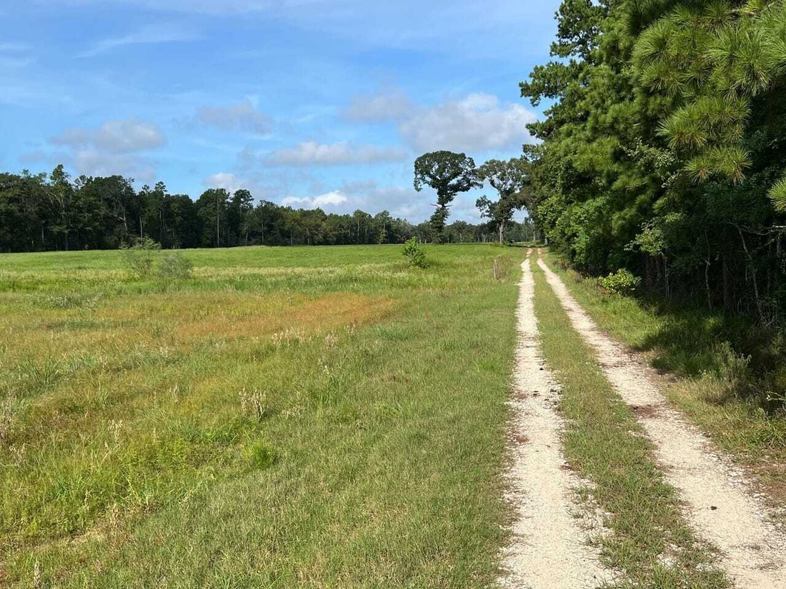 House in Plantersville, Texas, United States 3 - 18280417