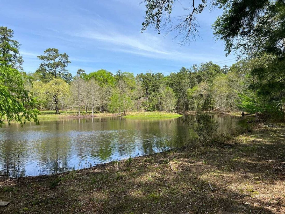 Land in Plantersville, Texas, United States 2 - 18280397