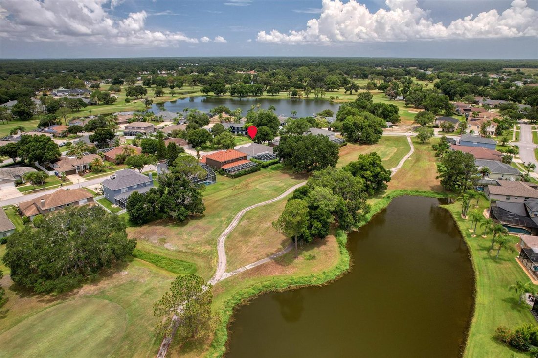 House in Odessa, Florida, United States 4 - 18283990