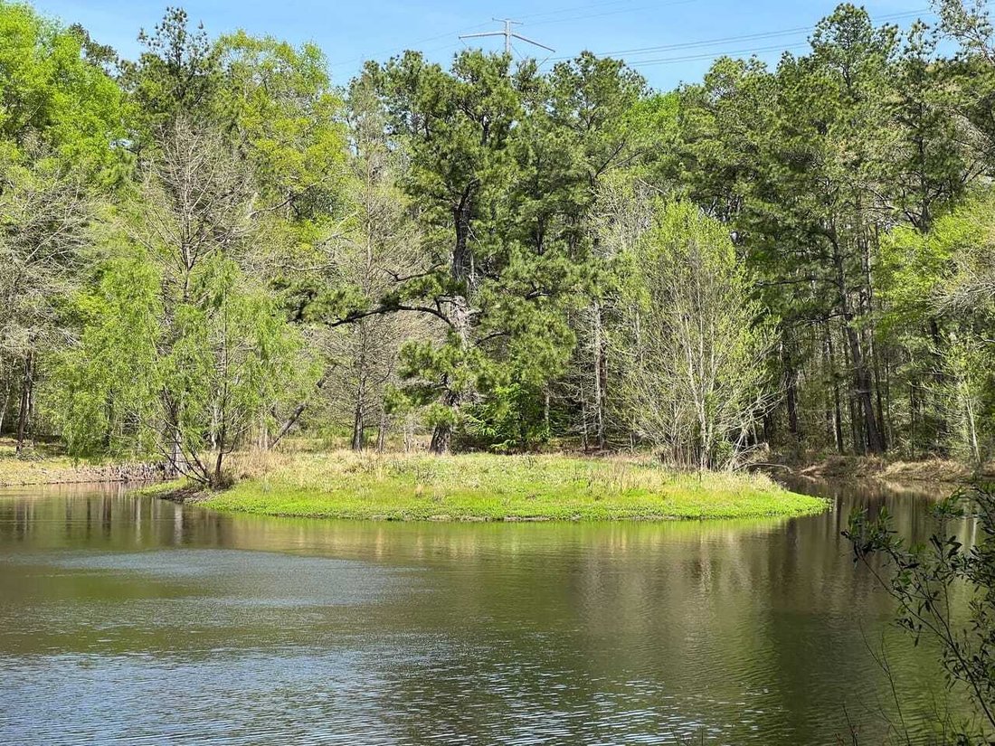 Land in Plantersville, Texas, United States 3 - 18280397
