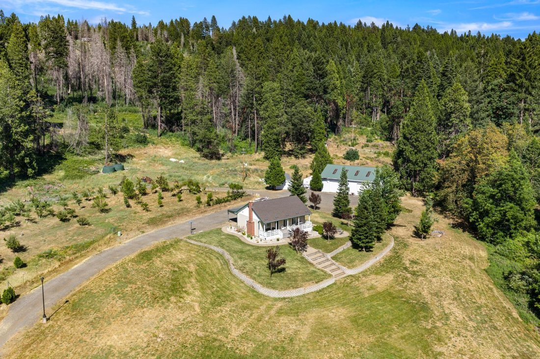 House in Camino, California, United States 5 - 18281866