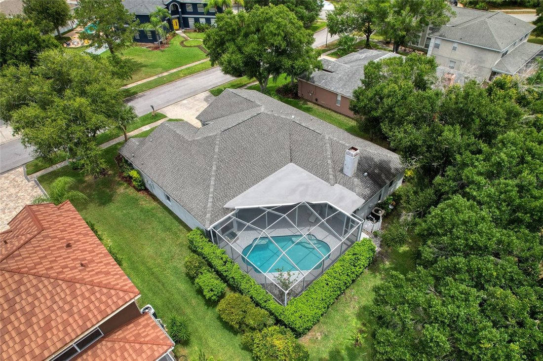 House in Odessa, Florida, United States 5 - 18283990