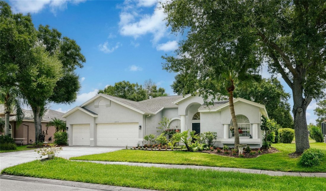 House in Odessa, Florida, United States 1 - 18283990