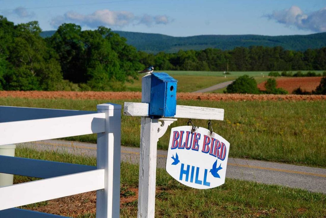 House in Callands, Virginia, United States 1 - 18280420