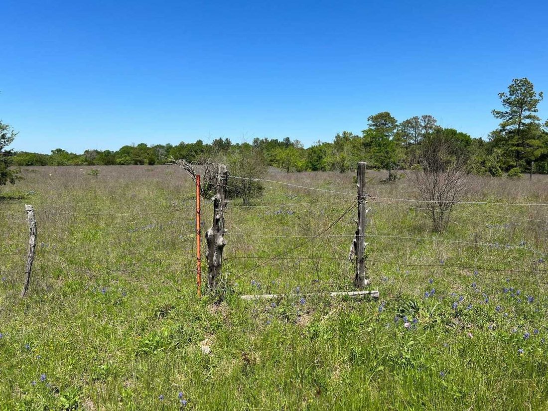 Land in Anderson, Texas, United States 5 - 18280422