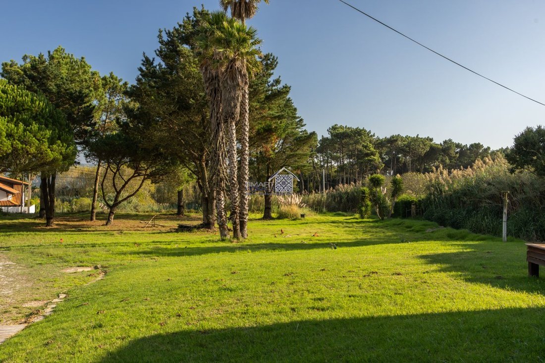 Farm Ranch in Alcobaca e Vestiaria, Leiria District, Portugal 5 - 18294497